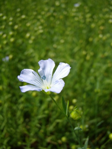 P7070240