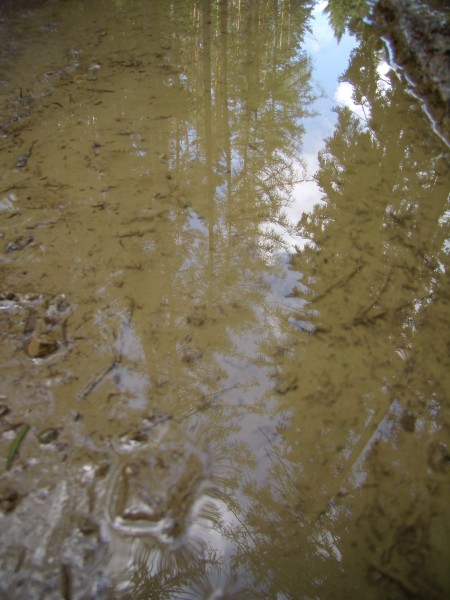 P7070262