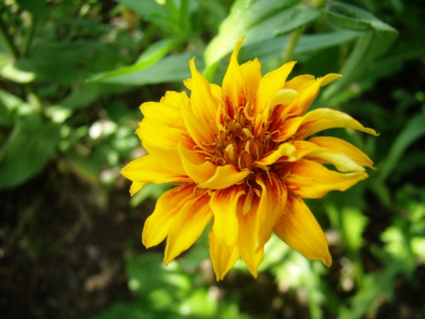 P8230053