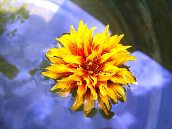 P8230093