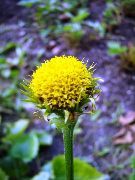 P8230131
