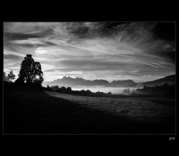 111178_detail