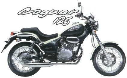 Gilera 125 Coguar - 03