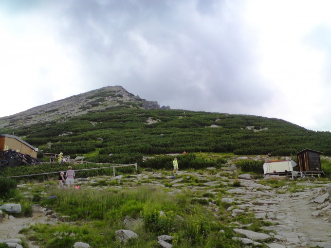 DSC00641
