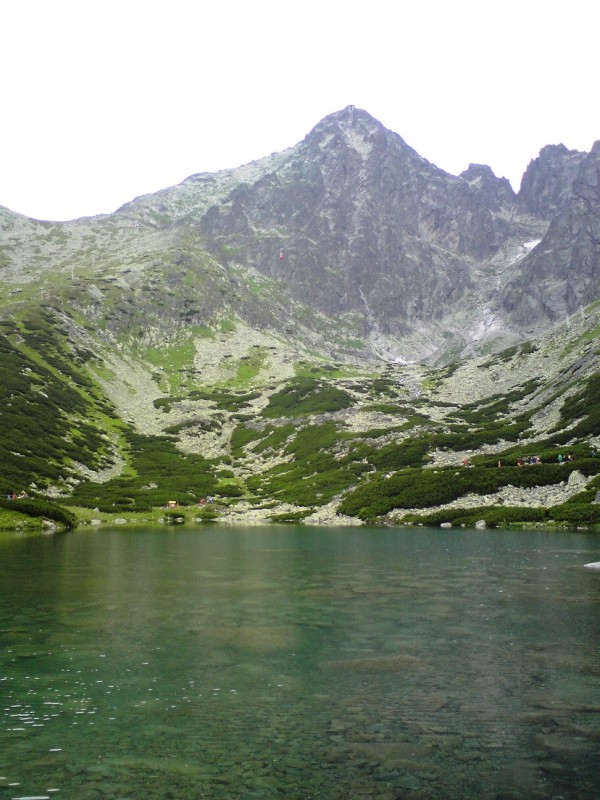 DSC00676