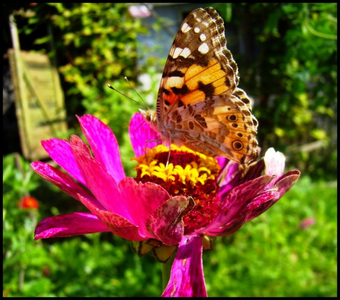 P9050006