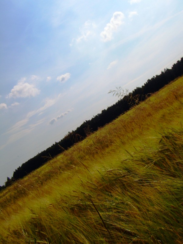 P7070030