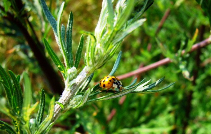P7070055