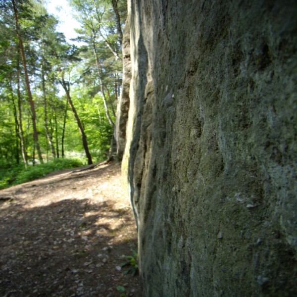 P5081679.JPG