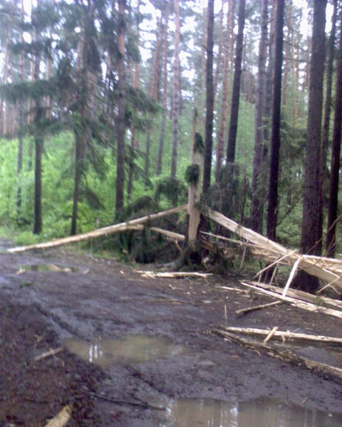 DSC01693.JPG