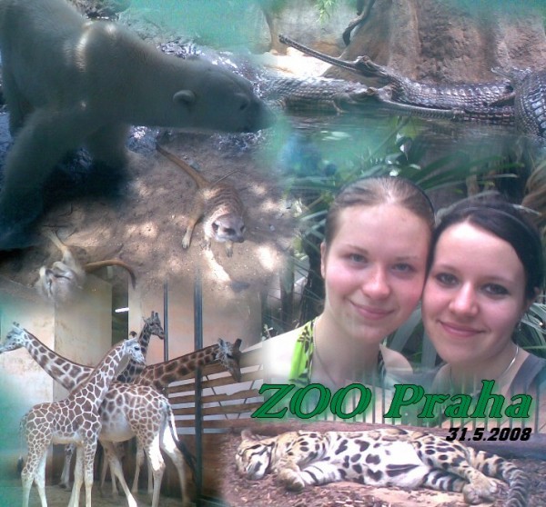 zoo praha 31.5.2008.jpg
