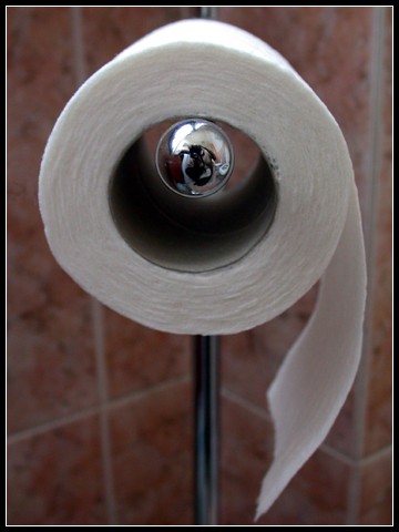 Toiletpaper19.jpg