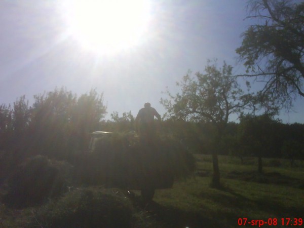 DSC00161