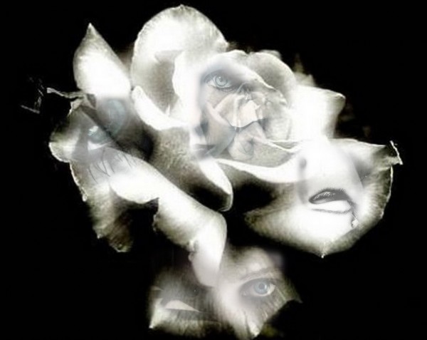Re