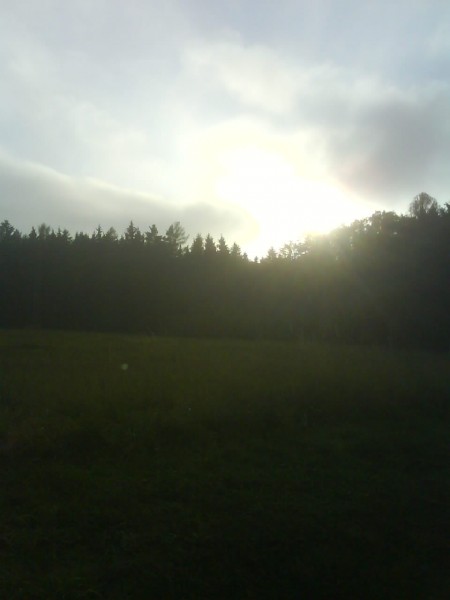 DSC00389