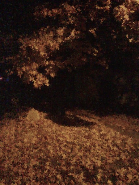 strom