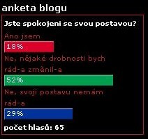 anketa